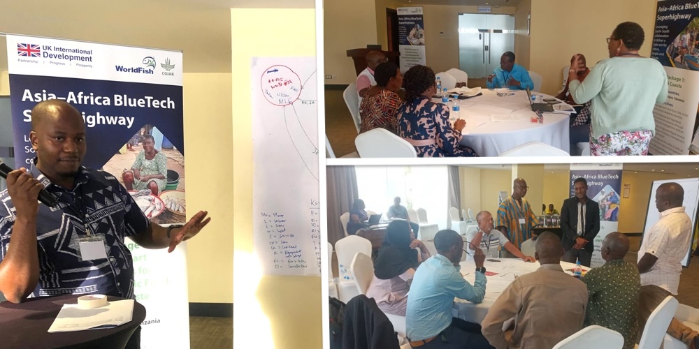 AABS Theory of Change workshop for reducing aquatic food loss and waste, Dar es Salaam, Tanzania.